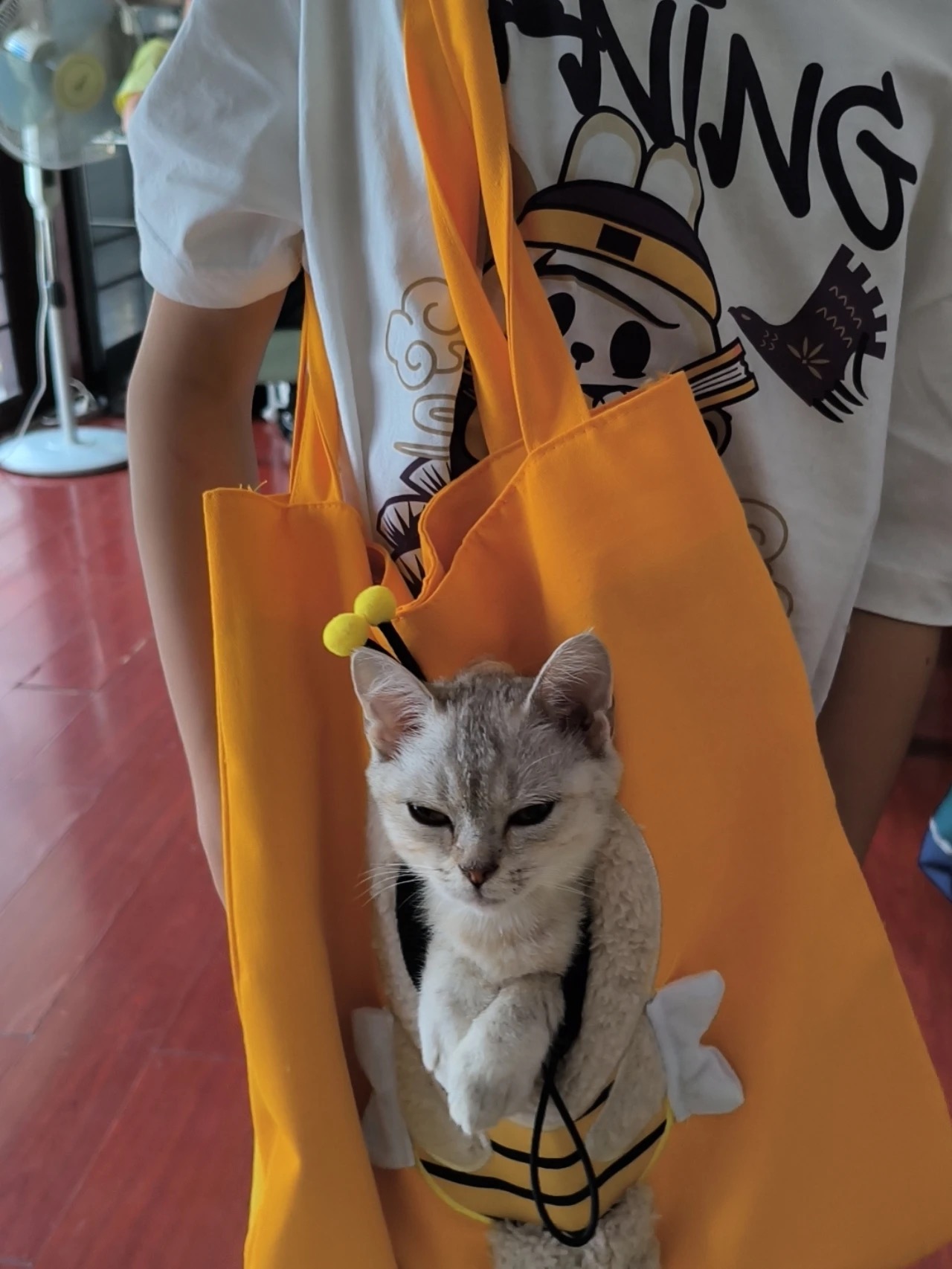 귀여운 꿀벌 캐릭터 반려동물 이동가방 고양이 강아지 외출용 캔버스 숄더백 토트백 photo review