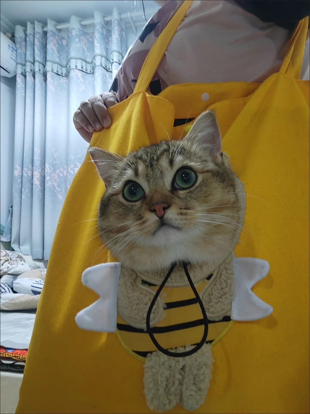 귀여운 꿀벌 캐릭터 반려동물 이동가방 고양이 강아지 외출용 캔버스 숄더백 토트백 photo review